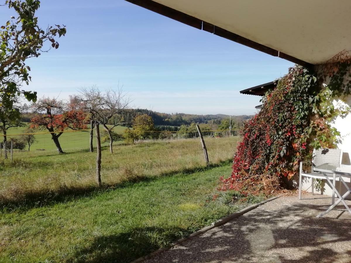 Alpenblick Apartment Nordschwaben Екстериор снимка